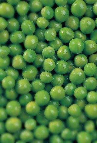 Peas, Frozen Vegetables Suppliers